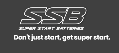 SSB Golf Cart Flooded/Wet Lead-Acid Battery