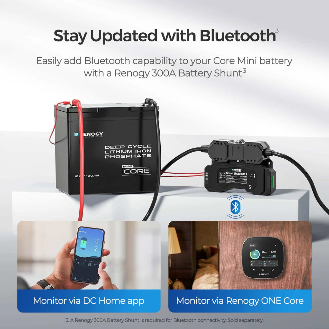 Renogy Core Mini 12.8V 100Ah Lithium LiFePO4 Battery