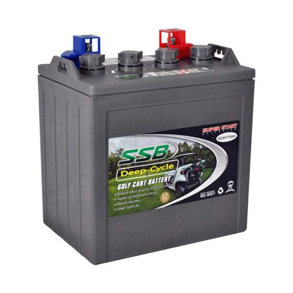 GC8V170AH SSB Golf Cart Deep Cycle Battery (8V)
