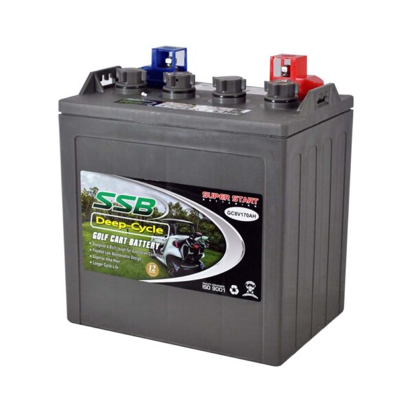GC8V170AH SSB Golf Cart Deep Cycle Battery (8V)