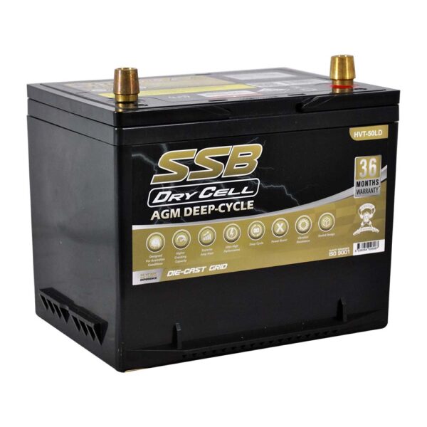 HVT-50LD Dual Purpose VRLA (AGM) Battery (Group 50D)