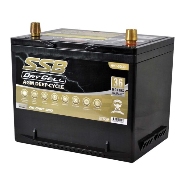 HVT-50LD Dual Purpose VRLA (AGM) Battery (Group 50D)