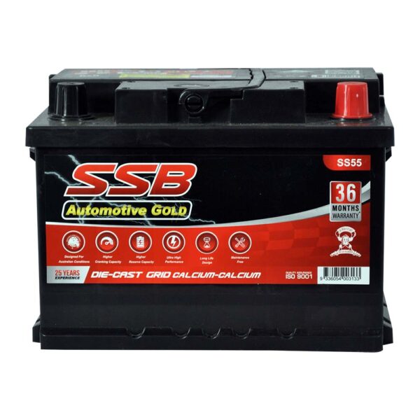 SS55 SSB Gold MF Car Battery (NS55)