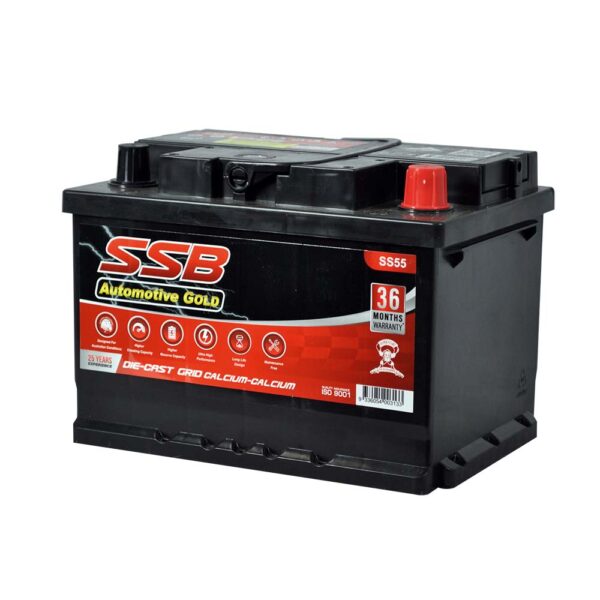 SS55 SSB Gold MF Car Battery (NS55)