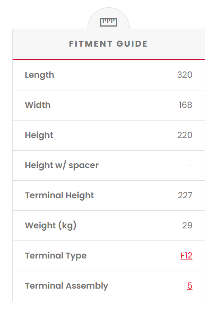 EV6-200 Fusion Electric Vehicle 6V Deep Cycle Battery